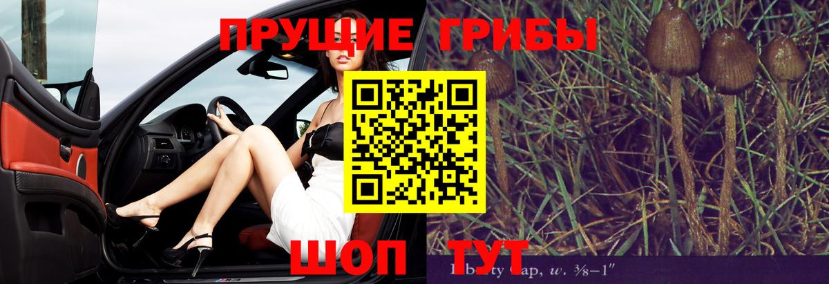 Псилоцибиновые грибы Psilocybine cubensis  Вход с VPN  Псилоцибиновые грибы MAGIC MUSHROOMS  Выборг 