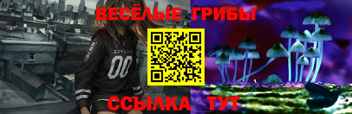 Псилоцибиновые грибы прущие грибы Выборг